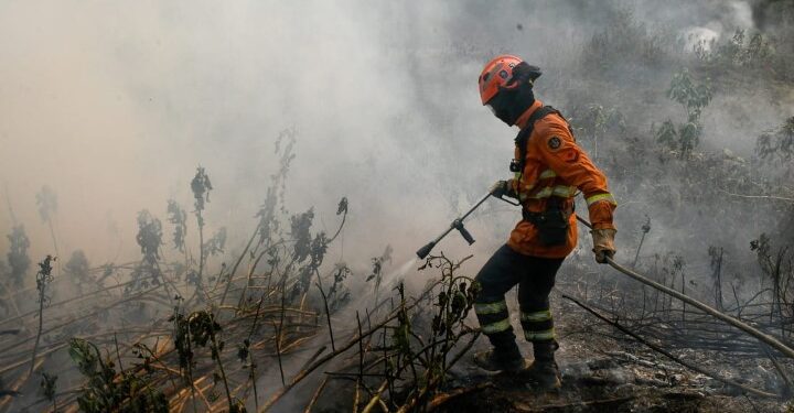 Luta dos Bombeiros contra o fogo no Pantanal é contínua e emociona quem é salvo das chamas