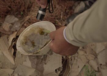 Boletim Epidemiológico aponta 12.730 casos confirmados de dengue em MS