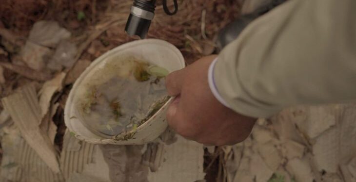 Boletim Epidemiológico aponta 12.730 casos confirmados de dengue em MS