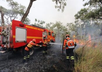 Combate aos incêndios florestais no Pantanal conta com ‘reforço’ de garoa e queda na temperatura