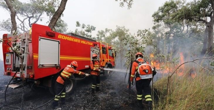 Combate aos incêndios florestais no Pantanal conta com ‘reforço’ de garoa e queda na temperatura