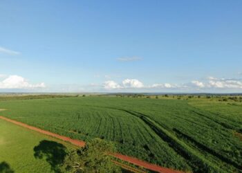 Fazenda Retaca um modelo em produção
