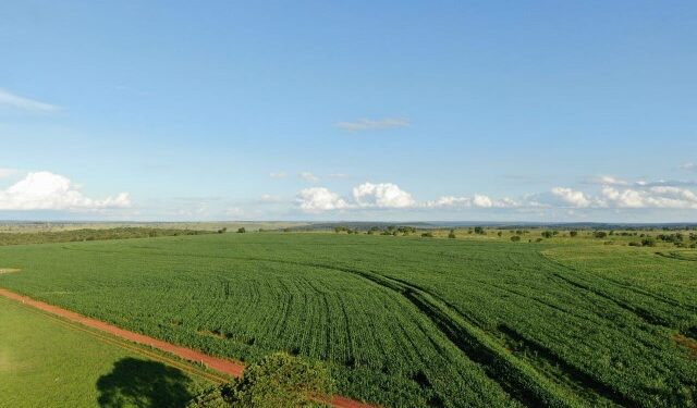 Fazenda Retaca um modelo em produção