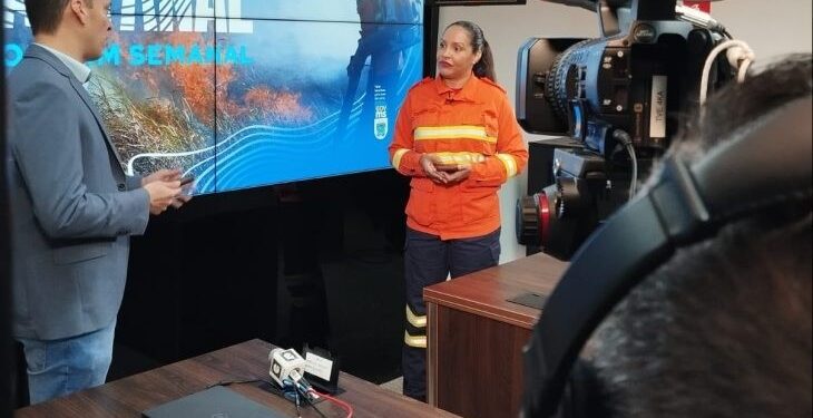 Governo de MS anuncia fim dos incêndios no Pantanal