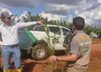 Iagro publica abertura de concurso com 29 vagas para médico veterinário