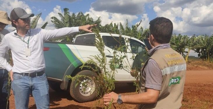 Iagro publica abertura de concurso com 29 vagas para médico veterinário