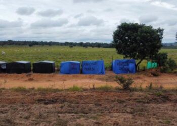 Tentativa de invasão em fazenda da Suzano em MS preocupa empresa