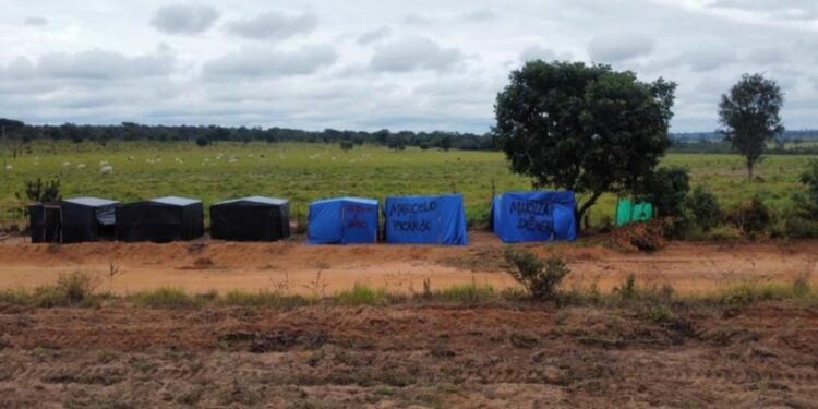 Tentativa de invasão em fazenda da Suzano em MS preocupa empresa
