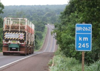 Governo de MS e União avançam nas discussões para concessões das rodovias federais BR-262 e BR-267