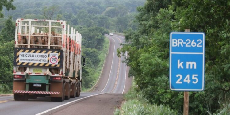 Governo de MS e União avançam nas discussões para concessões das rodovias federais BR-262 e BR-267