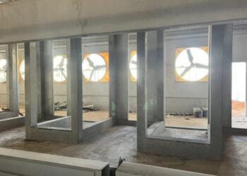 Suinocultura de MS terá a 1ª central de sêmen a partir de novembro