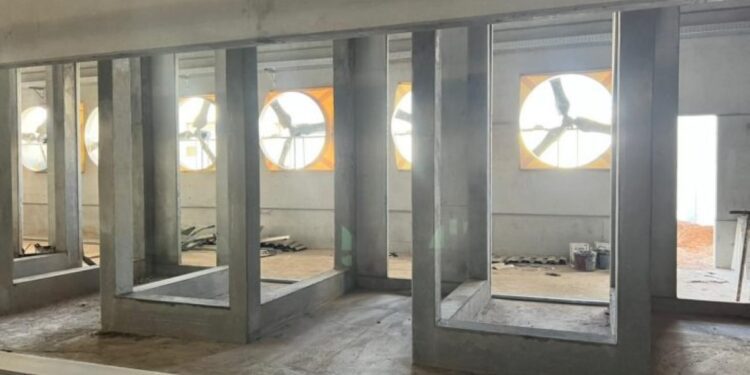 Suinocultura de MS terá a 1ª central de sêmen a partir de novembro