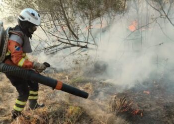 Mulheres têm papel de destaque no combate aos incêndios no Pantanal