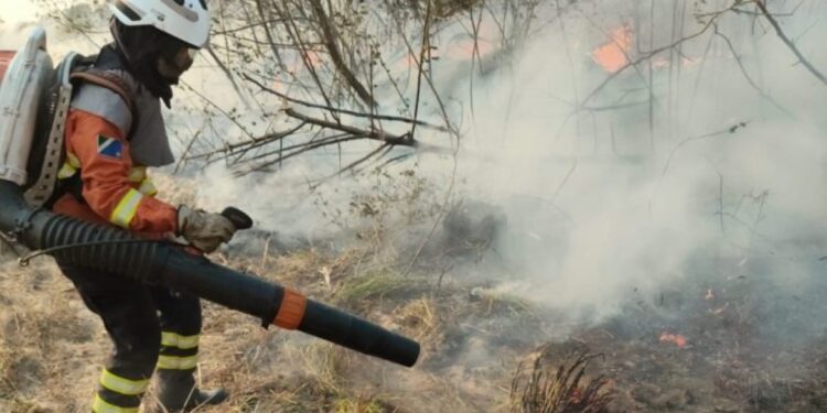 Mulheres têm papel de destaque no combate aos incêndios no Pantanal
