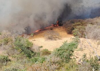 Camapuã pede socorro: incêndios de grande porte atingem áreas rurais