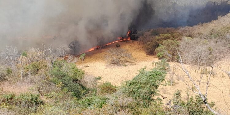 Camapuã pede socorro: incêndios de grande porte atingem áreas rurais