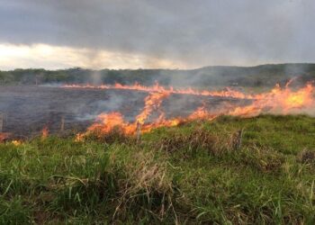 Incêndios em Camapuã ameaçam áreas rurais e mobilizam apelos por medidas emergenciais
