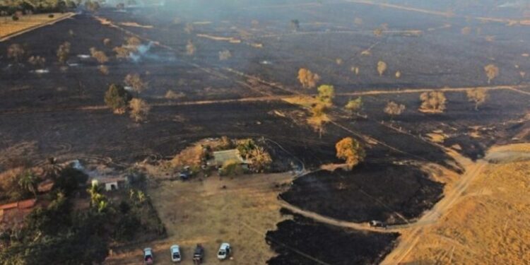 Incêndios causam novos prejuízos em Alcinópolis e ameaçam propriedades rurais