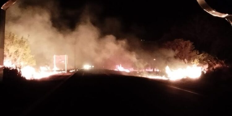 Costa Rica declara emergência por incêndios em áreas rurais