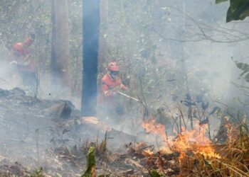 Pantanal ainda tem oito focos ativos mesmo após semana de frio e chuva em MS