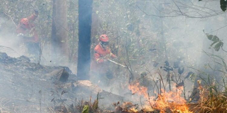 Pantanal ainda tem oito focos ativos mesmo após semana de frio e chuva em MS