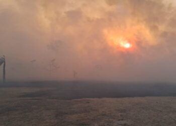 Incêndios florestais no Pantanal: situação climática agrava focos em MS