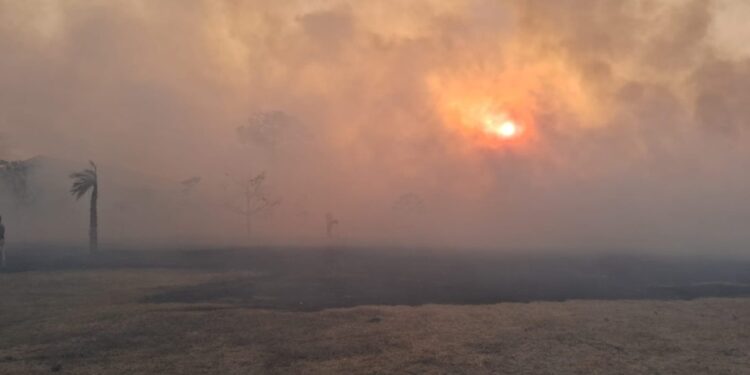 Incêndios florestais no Pantanal: situação climática agrava focos em MS