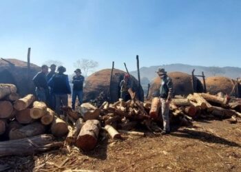 Operação resgata 13 trabalhadores em situação análoga à escravidão em MS