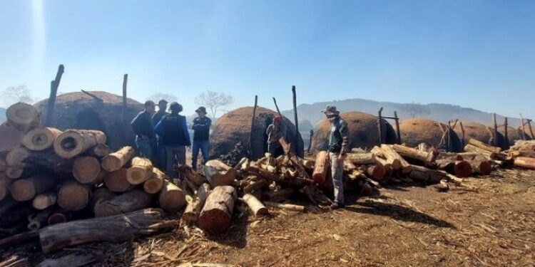 Operação resgata 13 trabalhadores em situação análoga à escravidão em MS