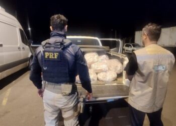 Iagro e PRF realizam Operação Agro-Seguro que combate crimes ambientais em MS