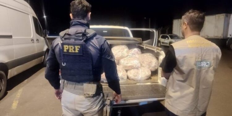 Iagro e PRF realizam Operação Agro-Seguro que combate crimes ambientais em MS