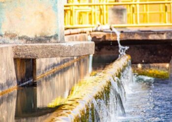 Investimentos em saneamento em Mato Grosso do Sul ultrapassam R$ 211 milhões em 2024