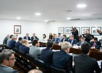 Governos discutem incêndios florestais e MS recebe destaque por integração no trabalho contra o fogo