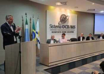 Processo de abertura de empresas em MS agora pode ser feito pelo WhatsApp