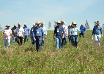 Concurso público da Agraer oferece 123 vagas com salários de até R$ 7 mil