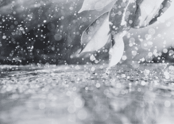 Previsão indica possibilidade de chuva preta em Mato Grosso do Sul