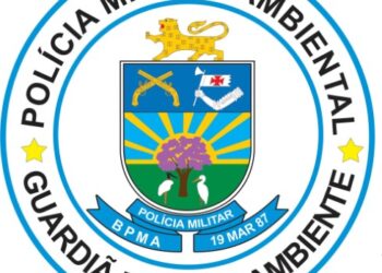 Jovens são multados por agressão a gambá em escola de Costa Rica