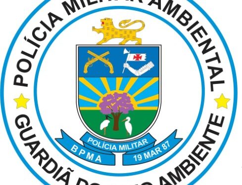 Jovens são multados por agressão a gambá em escola de Costa Rica