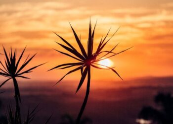 Mato Grosso do Sul enfrenta setembro com calor extremo e chuvas abaixo da média