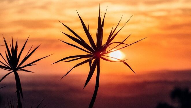 Mato Grosso do Sul enfrenta setembro com calor extremo e chuvas abaixo da média