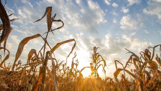 Mato Grosso do Sul enfrenta setembro com calor extremo e chuvas abaixo da média
