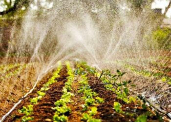 Via Fundect e Semadesc, Governo investe mais de R$ 5 milhões em Programa de Residência Agrária