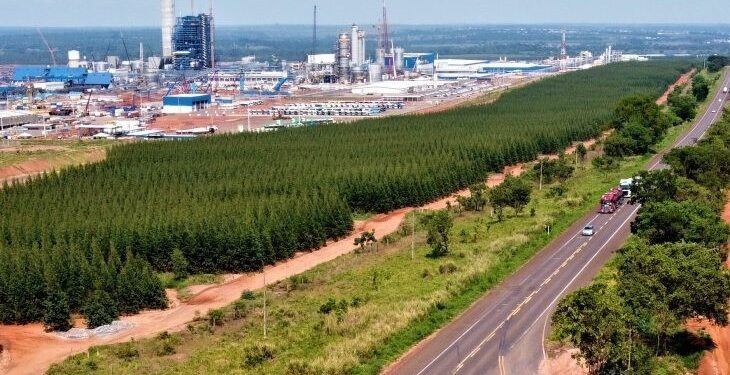 MS atrai mais empreendimentos que geram empregos e fazem Estado crescer acima da média