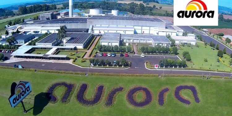 Cooperativa Aurora abre vagas em Camapuã com benefícios e plano de carreira