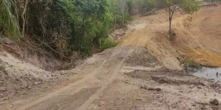 Barragem ilegal em córrego de Figueirão leva à autuação de fazendeiro por crime ambiental