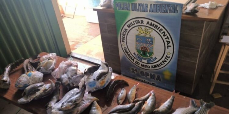 Polícia Ambiental autua dois homens por pesca predatória e caça ilegal em Paraíso das Águas