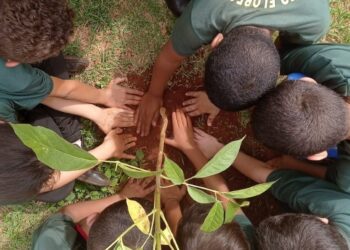 Jovens de Costa Rica se mobilizam em projeto ambiental de preservação