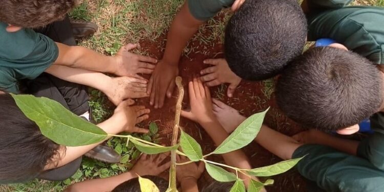 Jovens de Costa Rica se mobilizam em projeto ambiental de preservação