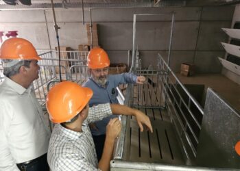 Empresa de genética suína vai inaugurar primeira unidade em Campo Grande
