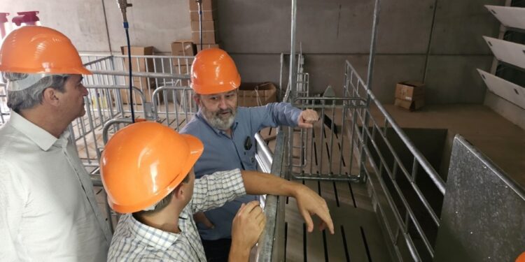 Empresa de genética suína vai inaugurar primeira unidade em Campo Grande